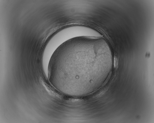 X0000115360205200911241225