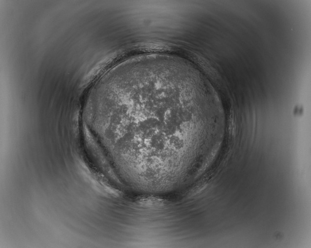 X0000115360206200911241225