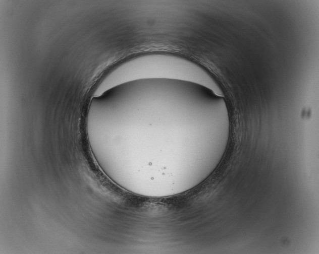 X0000115360207200911241225