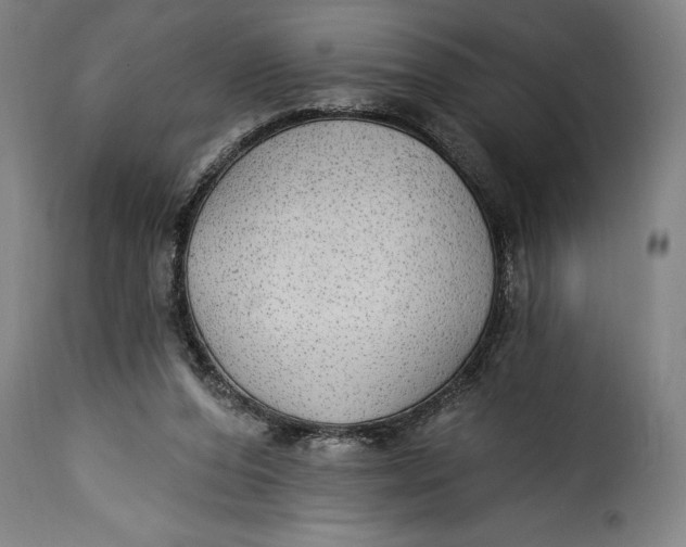 X0000115360208200911241225