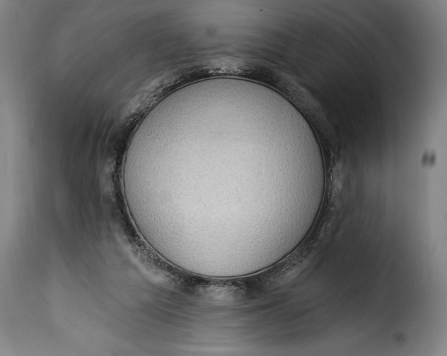 X0000115360209200911241225
