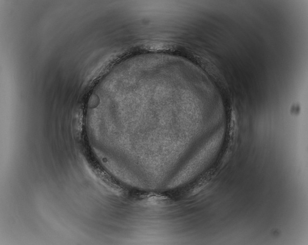 X0000115360210200911241225