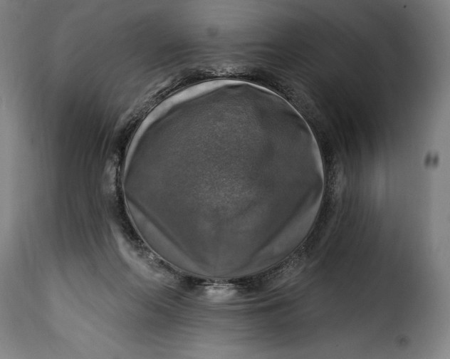 X0000115360214200911241224