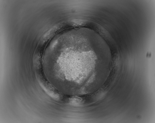 X0000115360215200911241224