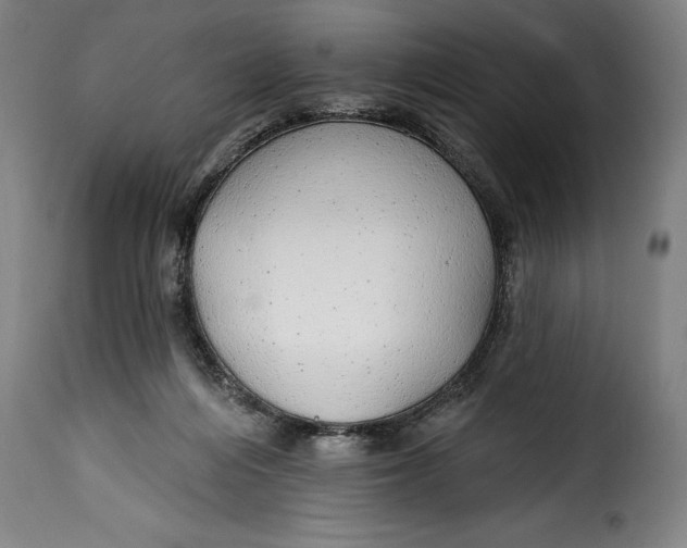 X0000115360216200911241224