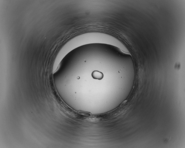 X0000115360217200911241224