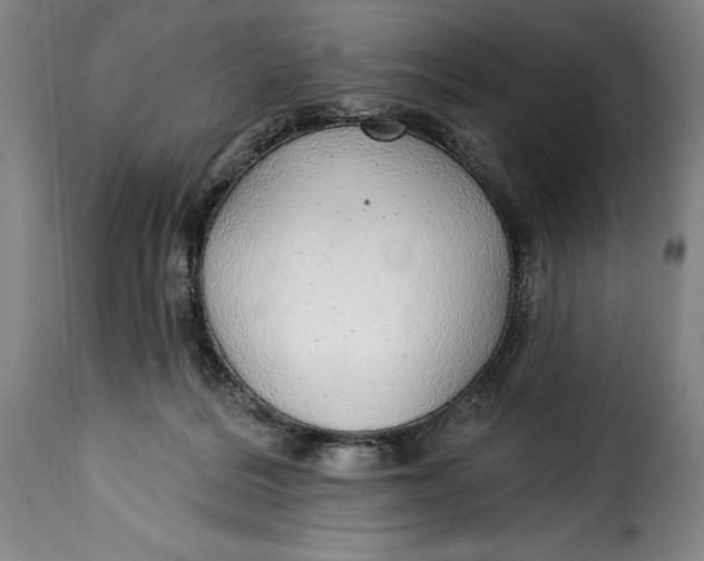 X0000115360220200911241224