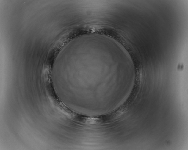 X0000115360222200911241224