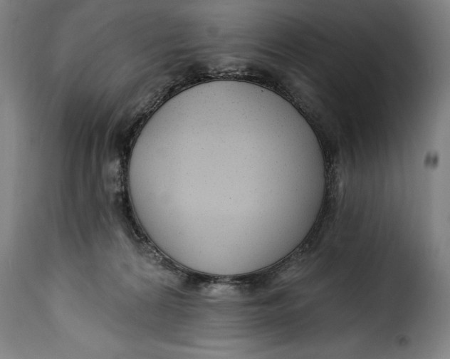 X0000115360224200911241224