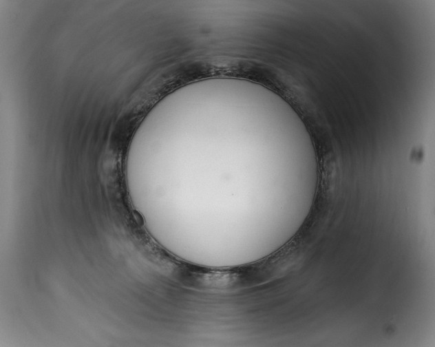X0000115360225200911241224