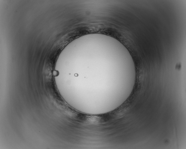 X0000115360226200911241224