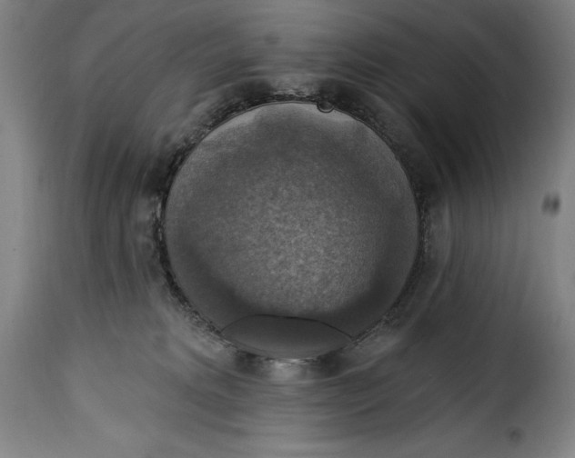 X0000115360229200911241224
