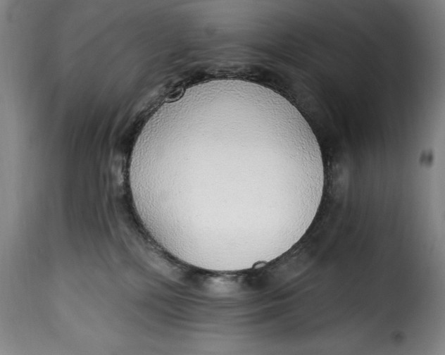 X0000115360232200911241224