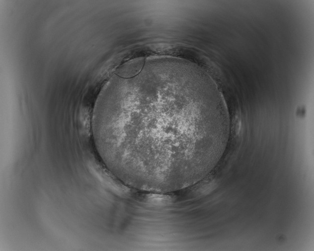 X0000115360234200911241224