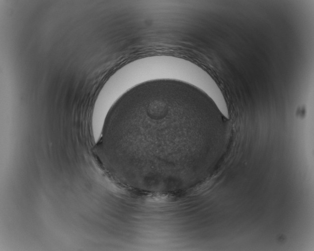 X0000115360235200911241224