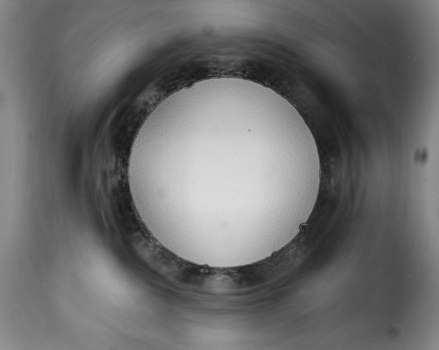 X0000115360236200911241224