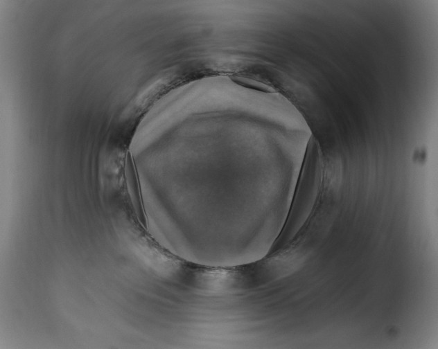 X0000115360237200911241224