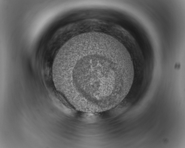 X0000115360239200911241224