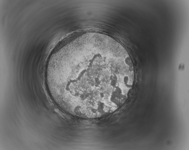 X0000115360241200911241223