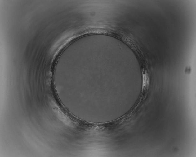 X0000115360243200911241223