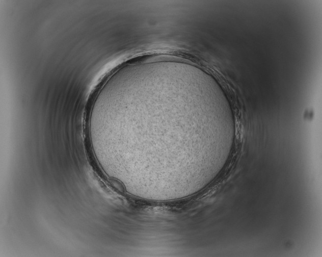 X0000115360244200911241223
