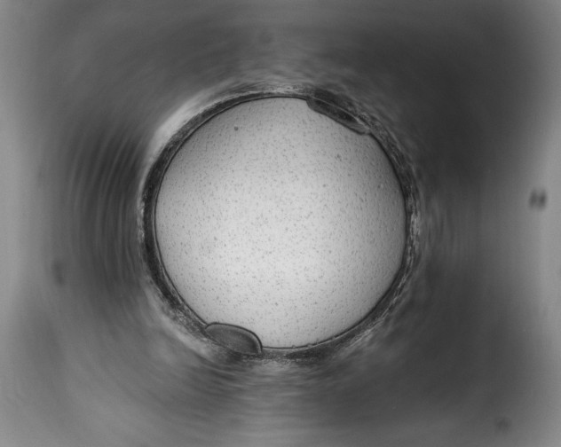 X0000115360246200911241223