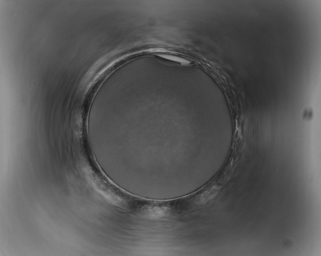 X0000115360247200911241223