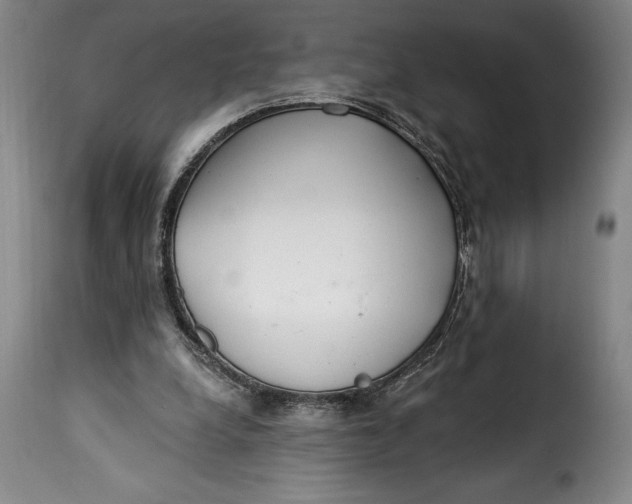 X0000115360248200911241223