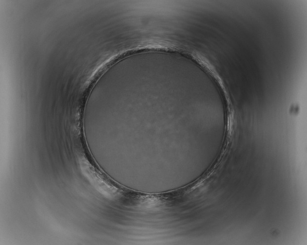 X0000115360249200911241223