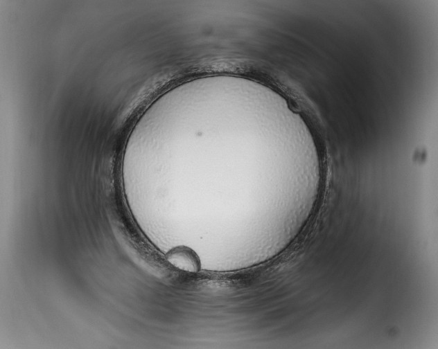 X0000115360250200911241223