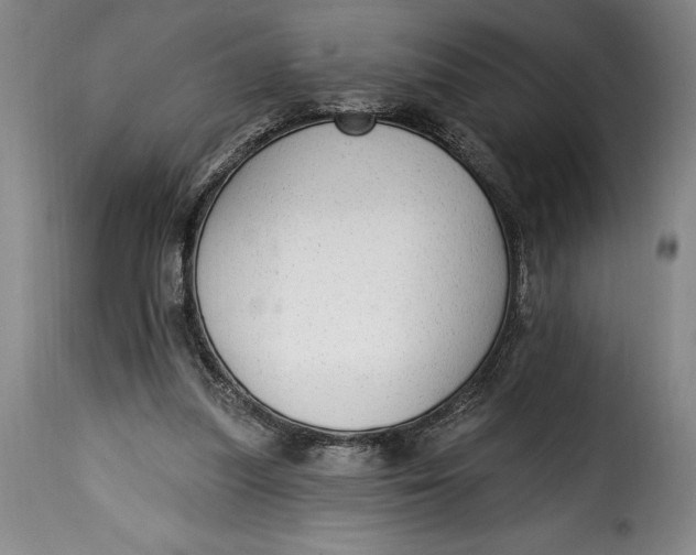 X0000115360251200911241223