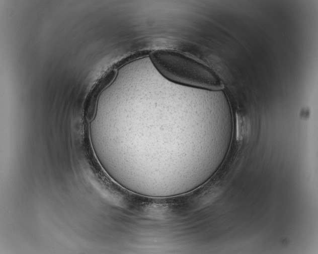 X0000115360252200911241223