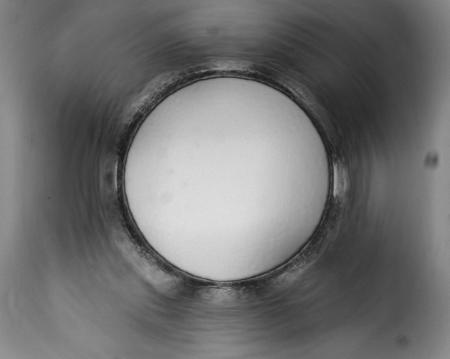 X0000115360253200911241223