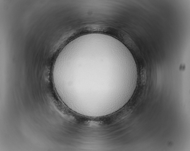 X0000115360255200911241223