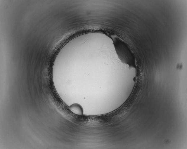 X0000115360256200911241223