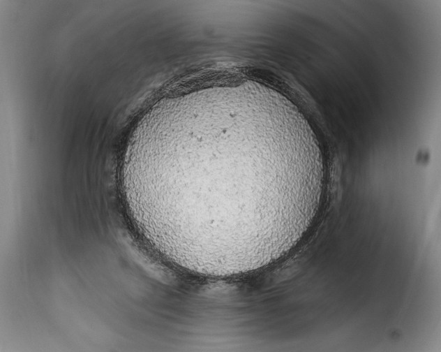 X0000115360257200911241223