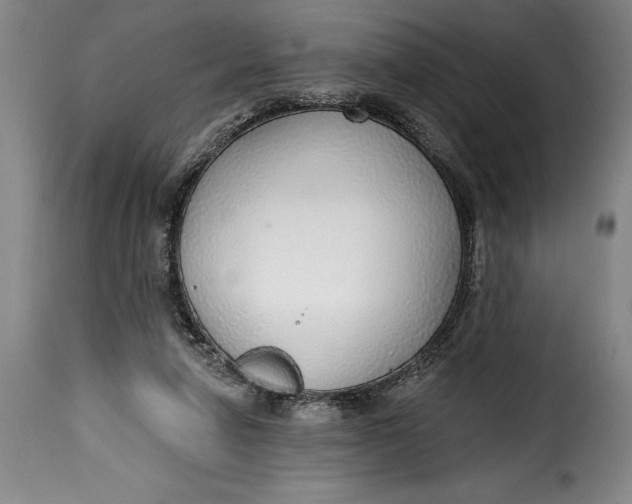 X0000115360258200911241223