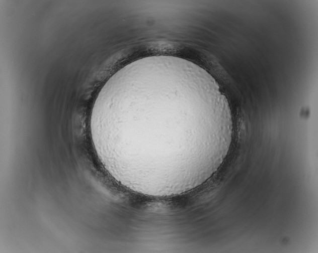 X0000115360259200911241224