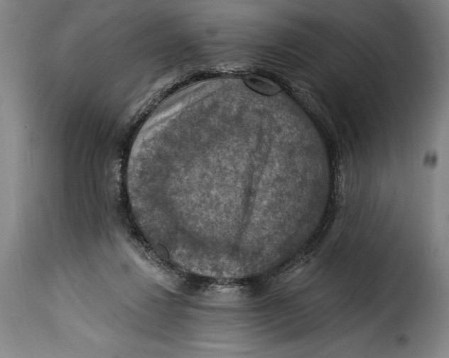X0000115360260200911241224