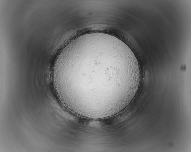 X0000115360261200911241224