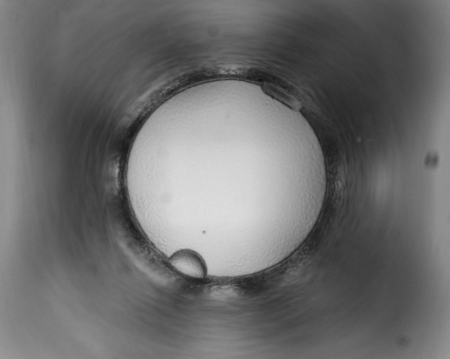 X0000115360262200911241224