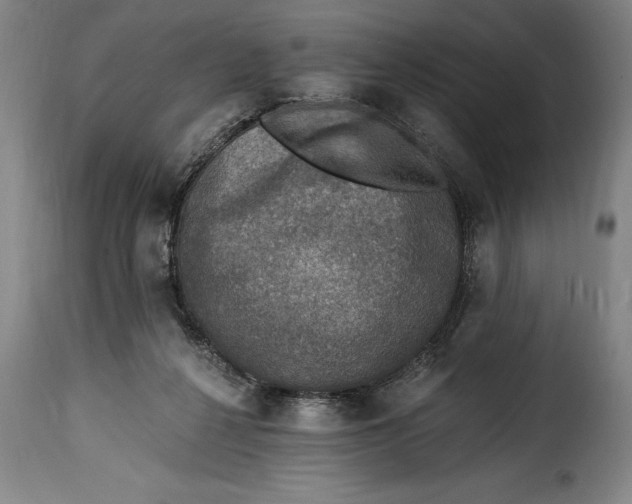 X0000115360264200911241224