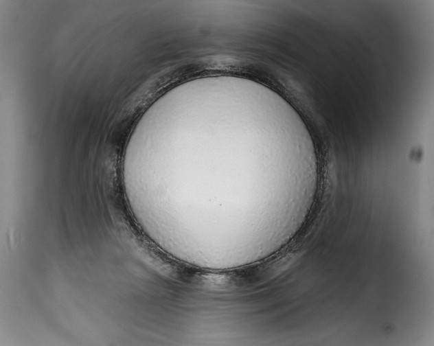 X0000115360265200911241224