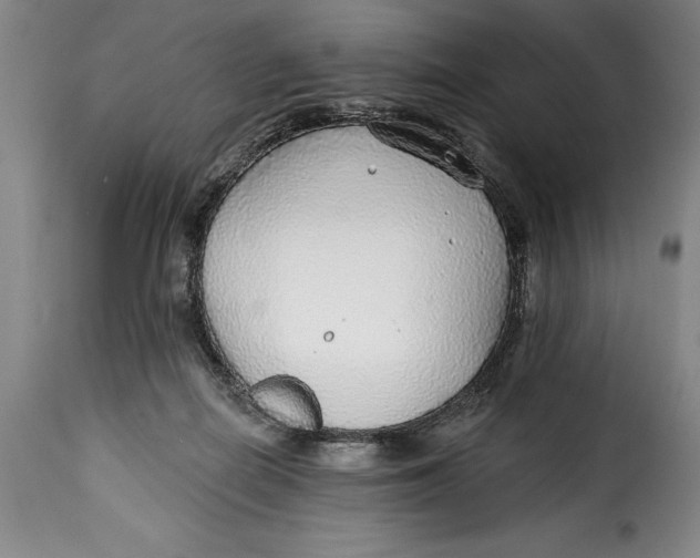 X0000115360266200911241224