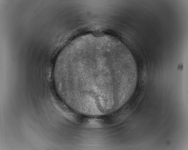 X0000115360268200911241224