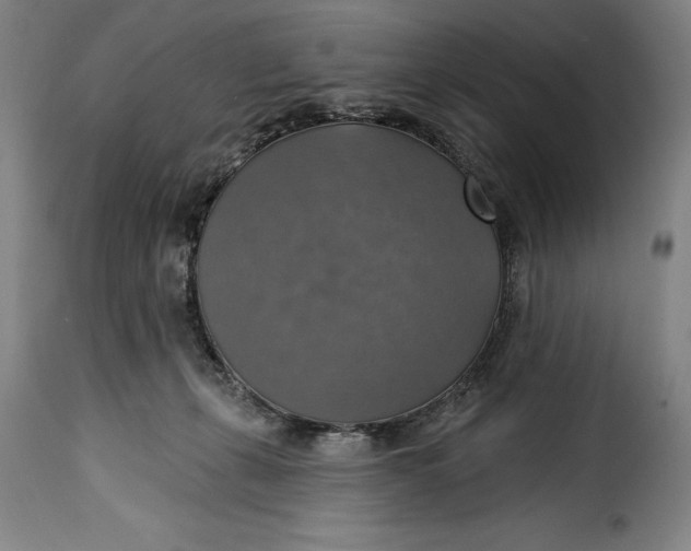 X0000115360271200911241224