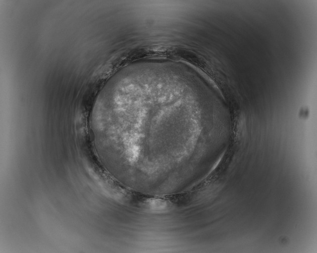 X0000115360272200911241224