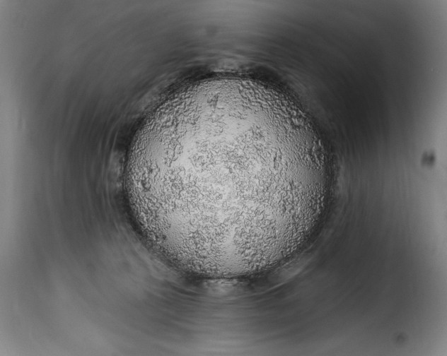 X0000115360273200911241224