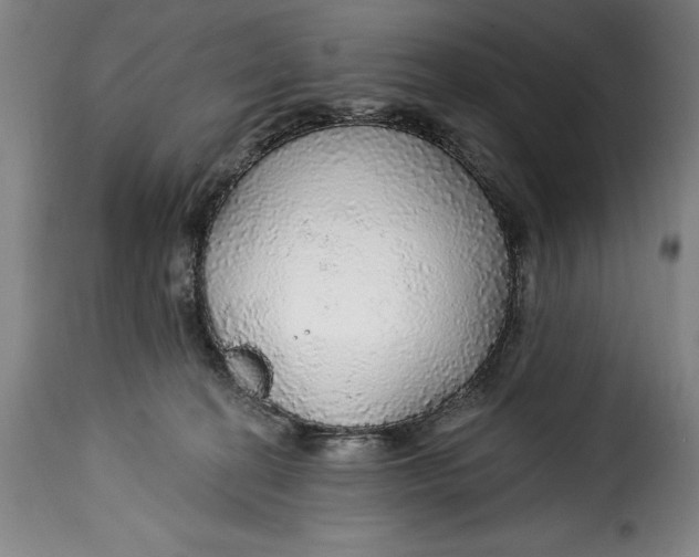 X0000115360274200911241224