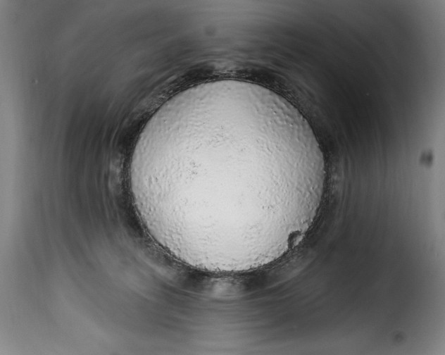 X0000115360275200911241224